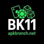 BK11 Game Logo