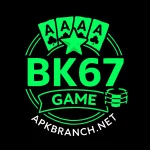 BK67 Game logo