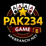 Pak234 Game logo