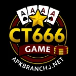 Ct666 Game logo