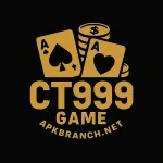 CT999 Game Logo