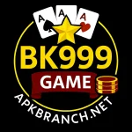 BK999 Game Logo