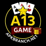 A13 Game Logo