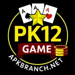 PK12 Game Logo