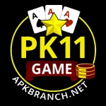 PK11 Game Logo