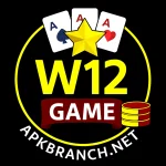 W12 Game Logo