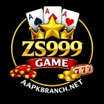 ZS999 Game Logo